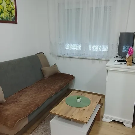 Apartment Visnja Gornja Toplica